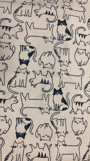 Tasmalı kedi — ALT-PR-2067